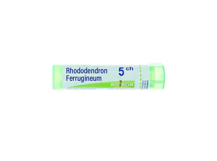Boiron Rhododendron Ferrugineum 5CH Tube - 4 g