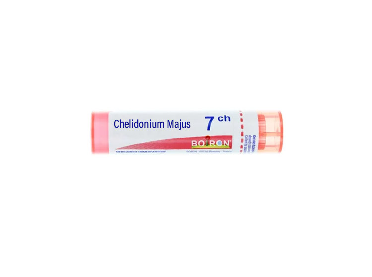 Boiron Chelidonium Majus 7CH Tube - 4g
