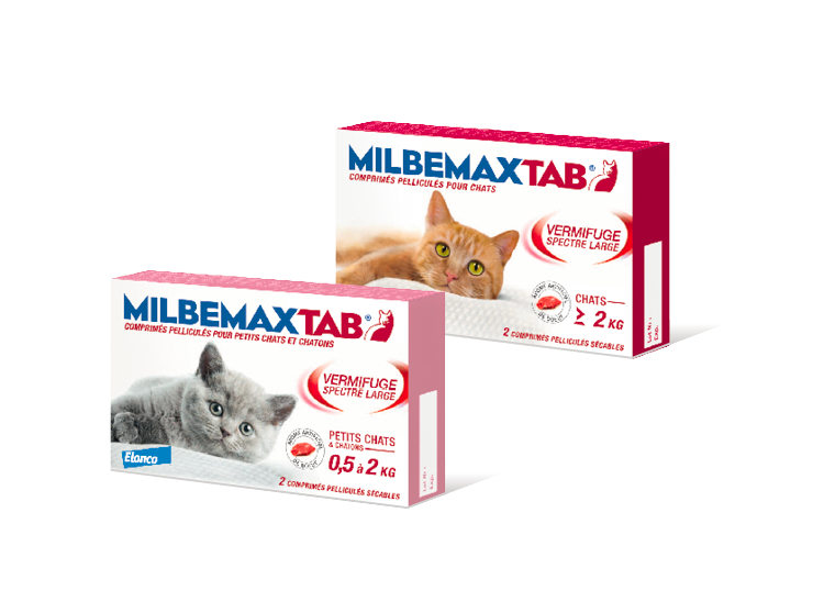 Milbemax tab petits chats de 0,5 à 2kg 2 comprimés - Pharmacie Cap3000