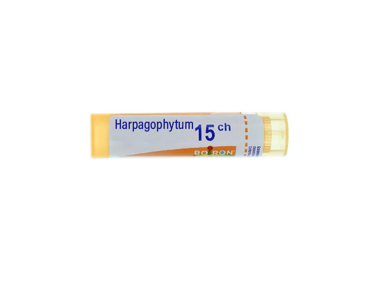 Boiron Harpagophytum 15CH Tube - 4 g