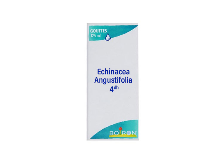 Boiron Echinacea Angustifolia 4DH  Gouttes - 125 ml