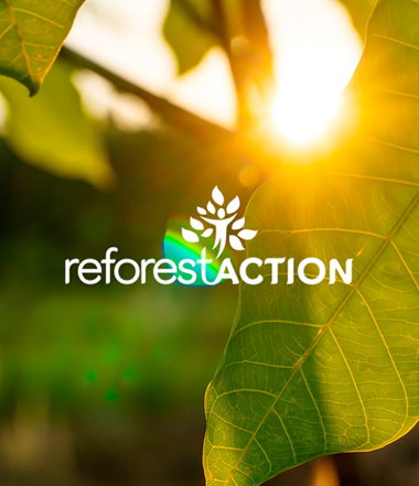 reforest-action