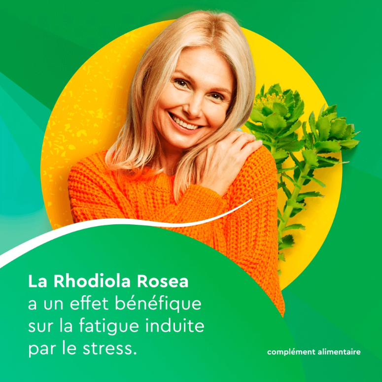 Le Rhodiola Rosea