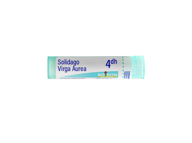 Boiron Solidago Virga Aurea 4DH Tube - 4 g