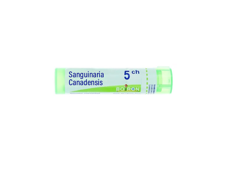 Boiron Sanguinaria Canadensis 5CH Tube - 4g