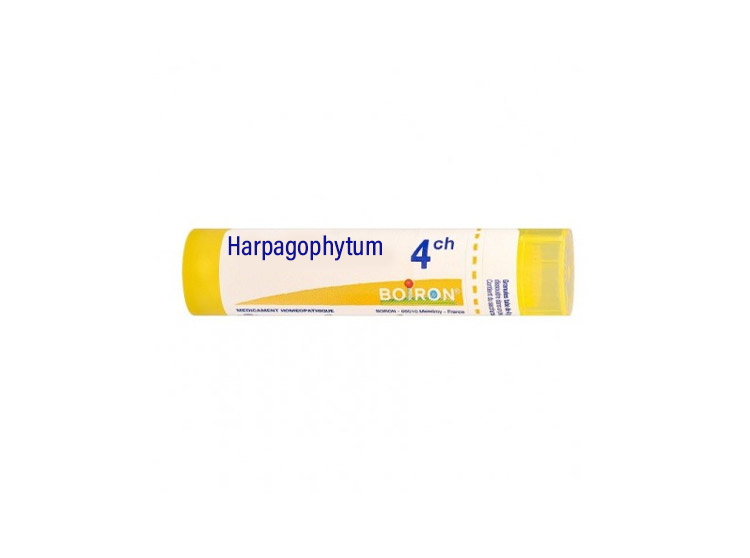 Boiron Harpagophytum 4CH Tube - 4 g