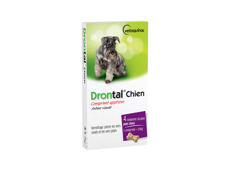 Drontal Chien - 4 comprimés
