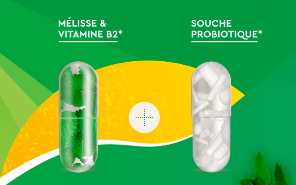 EuphytoseStress Digestion a base de mélisse, vitamine B2 et Souche probiotique